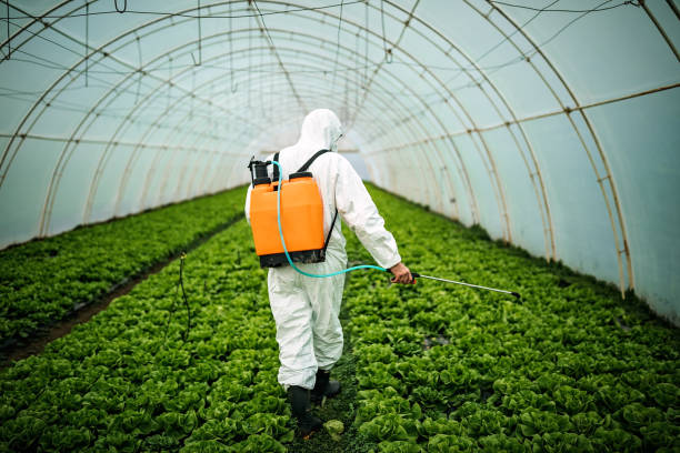 Best Best Pest Control Companies  in Renovo, PA
