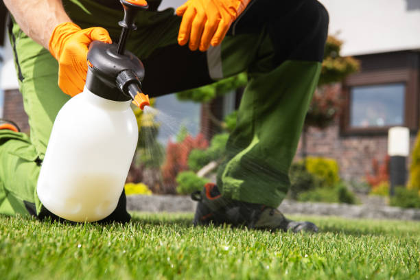 Best Termite Control Services  in Renovo, PA
