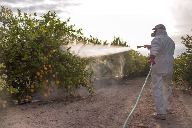 Best Residential Pest Control  in Renovo, PA