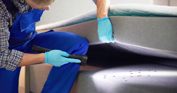 Best Bed Bug Extermination  in Renovo, PA