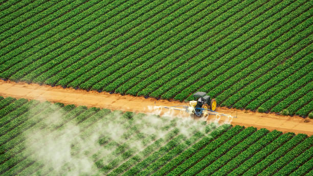 Pest Control Cost in Renovo, PA
